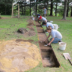 Colour photograph of several trainee archaeologists excavating the soil in a very straight line.