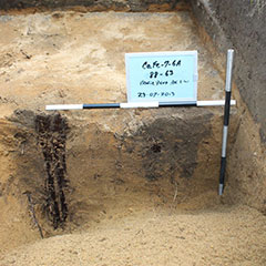 Colour photograph of a stratigraphic layer of ground with two blackened traces.