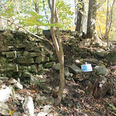 Colour photograph of squared stones placed one above the other, forming a wall.