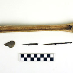 Photographie couleur d'un grattoir en os animal, d'un perçoir en pierre à fusil en silex ainsi que de deux aiguilles en fer.